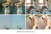 Sparkling Lightroom Presets Mobile, a Preset Add-On by VEER (Thumbnail 9 of 18)