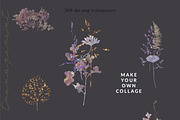 Wildflowers collage collection, a Texture Graphic by Anna Sokol (Thumbnail 4 of 21)