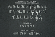 Rainstory, a Handwritten Font by FreshTypeINK (Thumbnail 8 of 8)