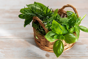 Basket of fresh garden herbs for cooking, a Food & Drink Photo by Olena Rudo