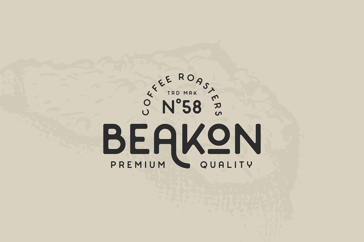 Crafton - Type Family, a Sans Serif Font by Camber & Type (Photo 6 of 7)