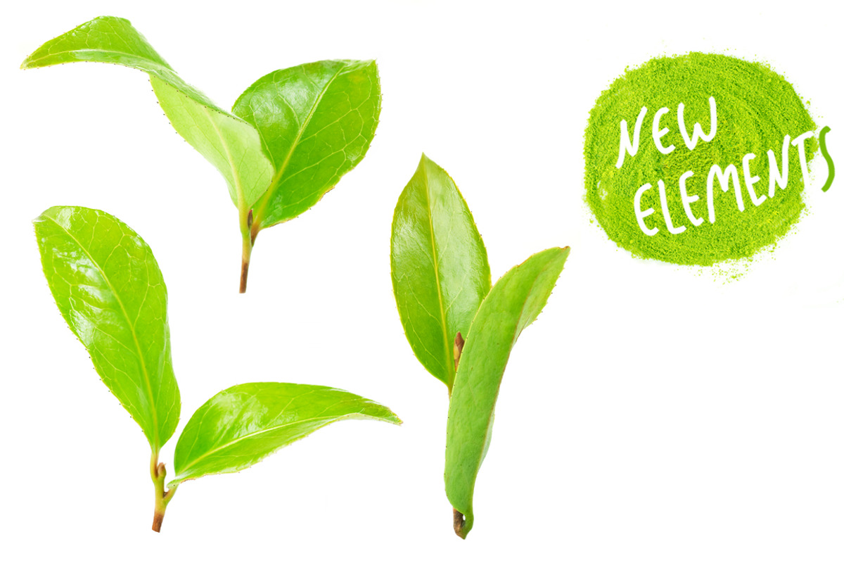 Matcha green tea. Photography set., an Object Graphic by Pullia (Photo 5 of 6)