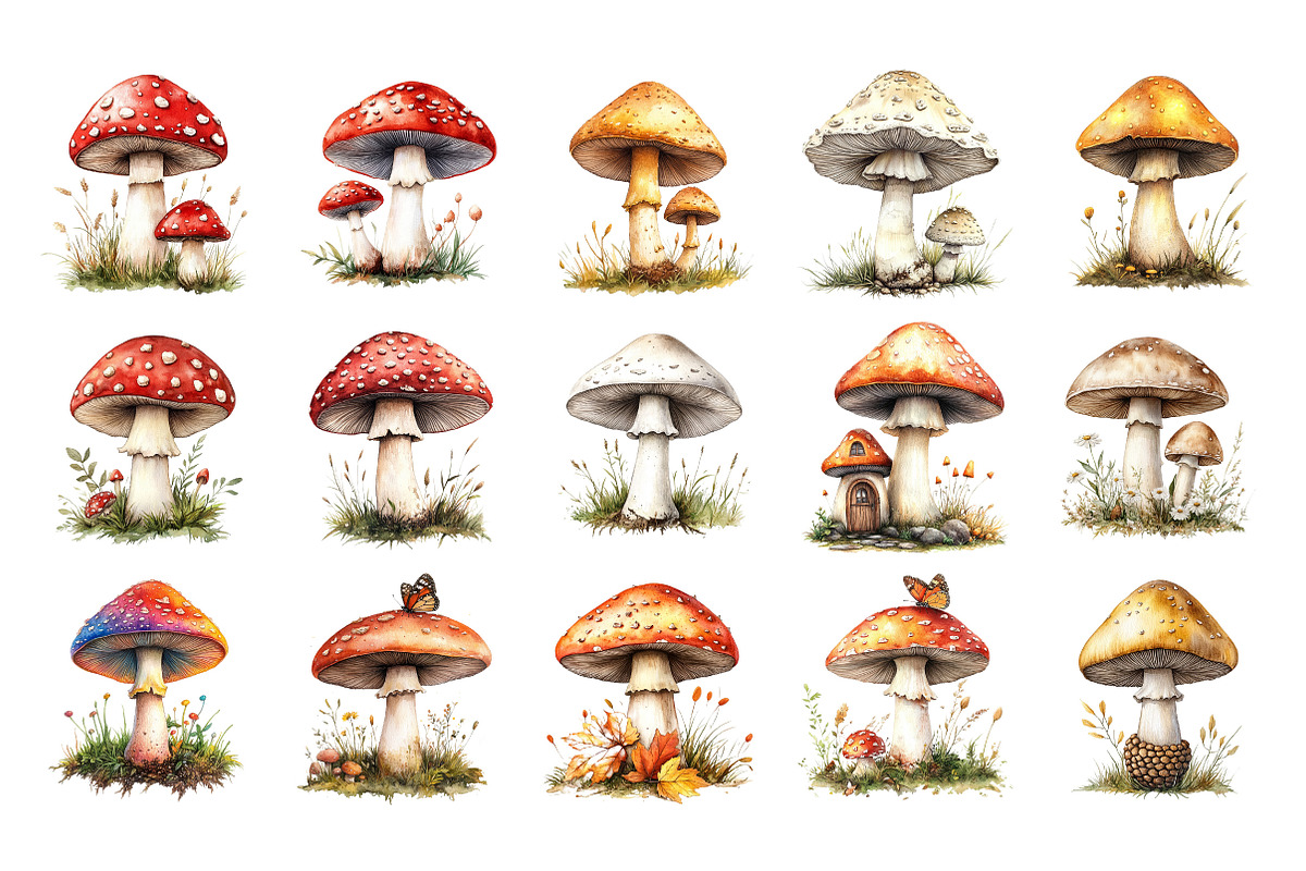 Watercolor Mushroom Sublimation, an Illustration by Designking (Photo 2 of 5)