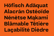 Calimate Family Fonts, a Sans Serif Font by Yukita Creative (Thumbnail 4 of 12)
