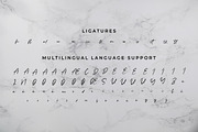 Rachelyne - Modern Calligraphy Font, a Script Font by StringLabs (Thumbnail 9 of 9)