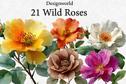 Wild Roses Clipart, an Illustration by Designworld (Thumbnail 1 of 6)