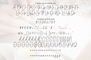 Jewerly Handscript | Script Font, a Handwritten Font by Scratchones (Thumbnail 7 of 8)