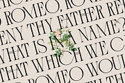Cosmic Solace - Ligature Serif Font, a Serif Font by SilverStag Type Foundry (Thumbnail 16 of 16)