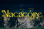 Airiya Mack - Serif Typeface Font, a Serif Font by Rishsketch (Thumbnail 8 of 15)