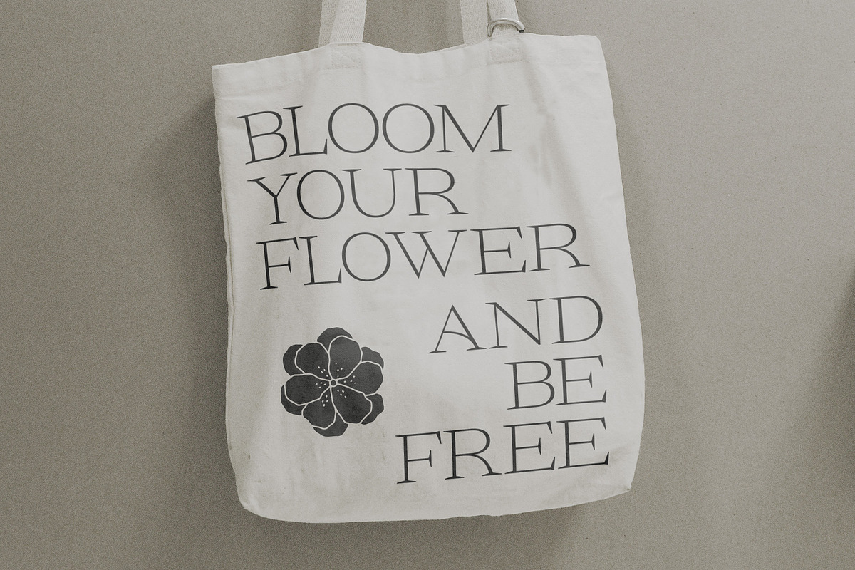CS Daily – Serif Font, a Serif Font by Craft Supply Co. (Photo 6 of 8)