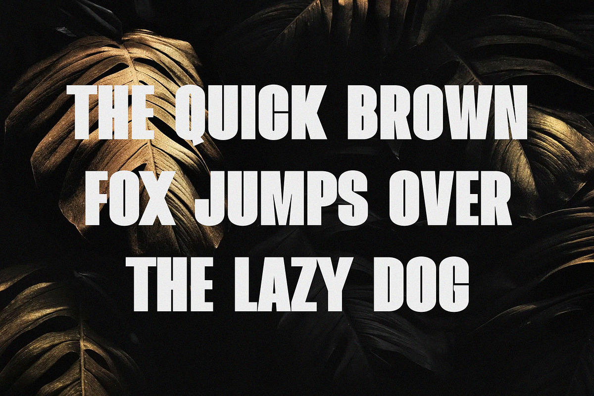Mailgold - A Bold Sans Serif, a Sans Serif Font by TypeLogue (Photo 2 of 5)