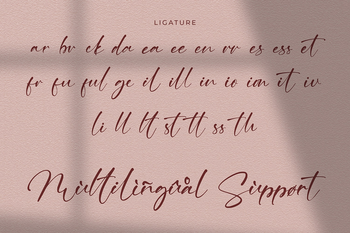 Ving Winston - Signature Font, a Script Font by StringLabs (Photo 9 of 9)