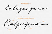 Scripture, a Script Font by Secondivison Supply (Thumbnail 3 of 6)