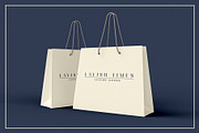 Lavish Times - Serif Font Family, a Serif Font by dylanchiadesigns (Thumbnail 4 of 7)