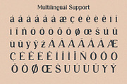 Roadster - Rough Display, a Script Font by Alpaprana (Thumbnail 8 of 9)