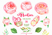 Watercolor Rose Nectar - clipart, an Illustration by LaVika (Thumbnail 2 of 8)