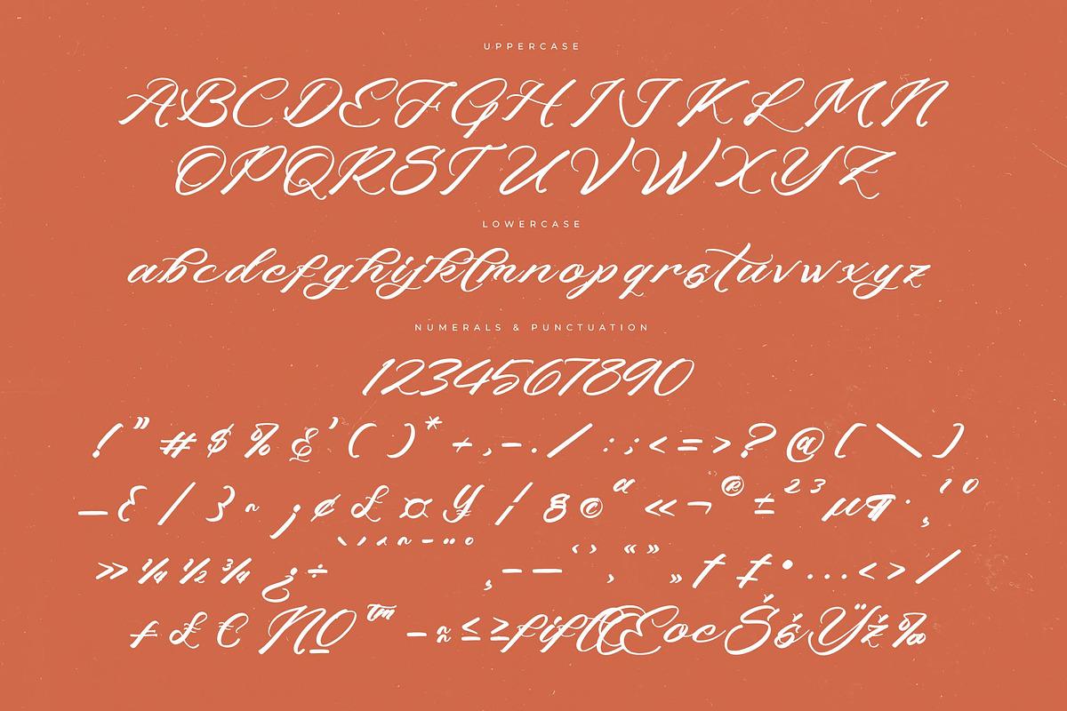 Machine Vintage Modern Stylish, a Script Font by Letterena Studios Script (Photo 13 of 15)