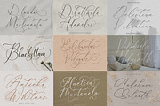 75 Elegant Script Font Bundle, a Script Font by Storytype Studio (Thumbnail 9 of 10)