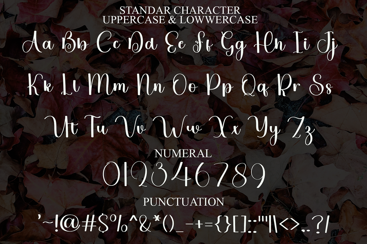 Valentina, a Handwritten Font by FreshTypeINK (Photo 5 of 8)