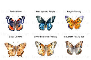 Watercolor Butterfly Species Clipart