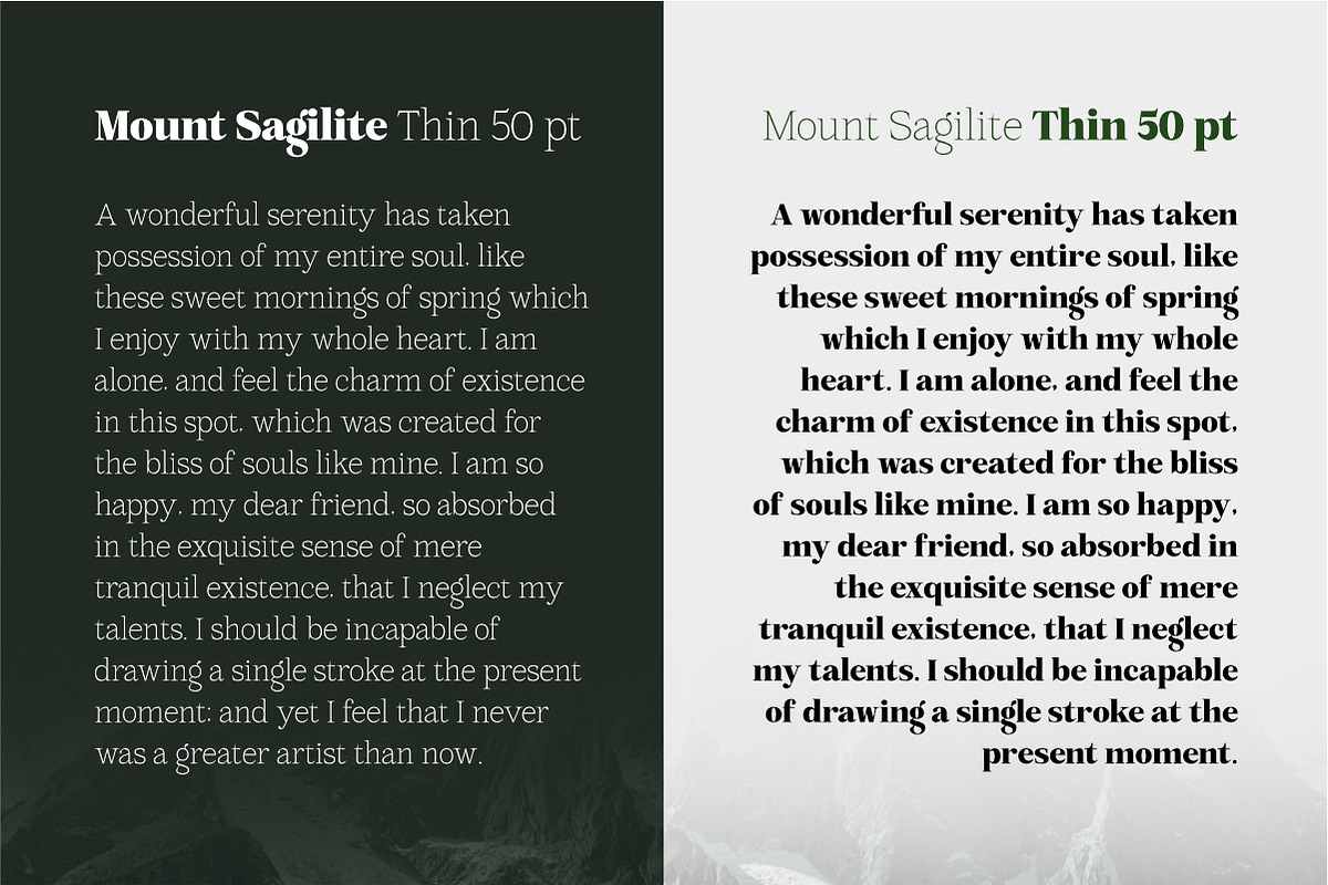 Mount Sagilite – Modern Serif Family, a Serif Font by Afkari Studio (Photo 9 of 12)