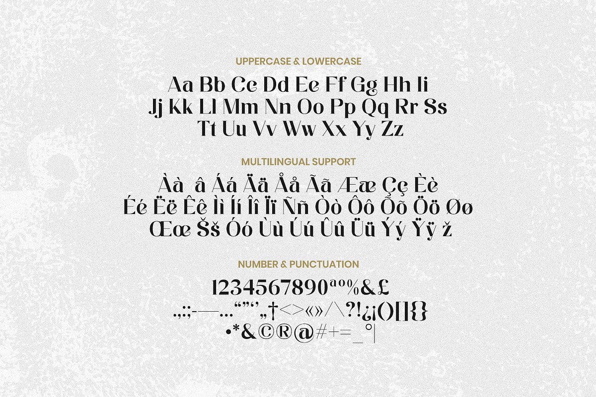 Elwin - Minimal Serif Typeface, a Serif Font by Imoodev (Photo 5 of 5)
