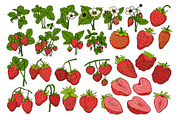 Strawberry, a Food Illustration by Elena Mykhailenko (Thumbnail 3 of 4)