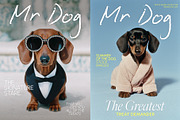 Dogue Summer – Luxury Pet Branding, an Animal Photo by Make Stories Studio (Thumbnail 2 of 5)