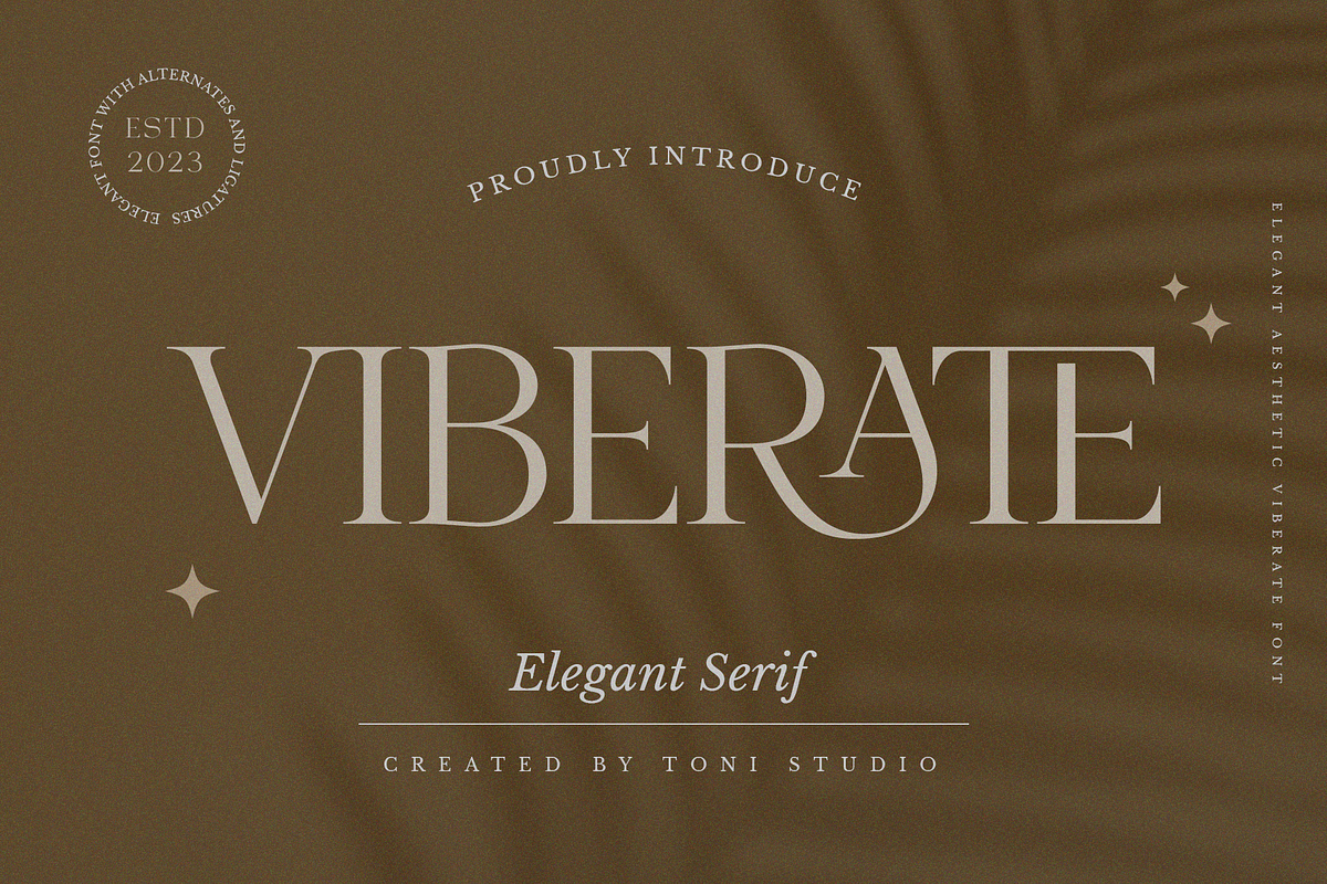 VIBERATE || ligature typeface, a Serif Font by ToniStudio (Photo 1 of 10)