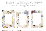 The Art of Ephemeral, an Illustration by Isabelle Salem (Thumbnail 10 of 12)