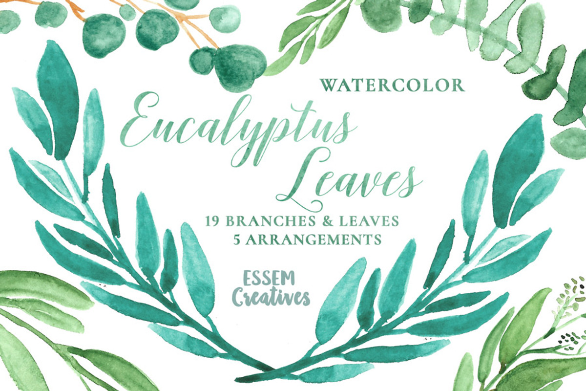 Watercolor Leaves Clipart Eucalyptus, an Illustration by Essem Creatives (Photo 1 of 3)
