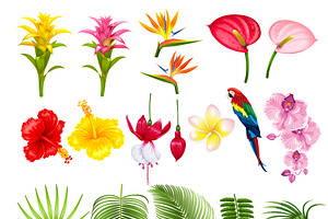 Tropical Plants Vector Pack