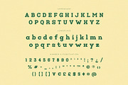 Calm - Slab Serif Family, a Slab Serif Font by Krismagraph (Thumbnail 10 of 12)