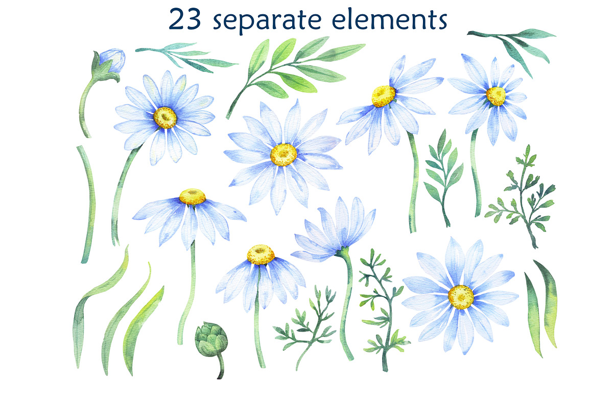 Delicate daisies, a Decorative Illustration by EshaStudio (Photo 2 of 9)