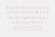 Francie Font Duo, a Serif Font by Ivan Rosenberg (Thumbnail 5 of 14)