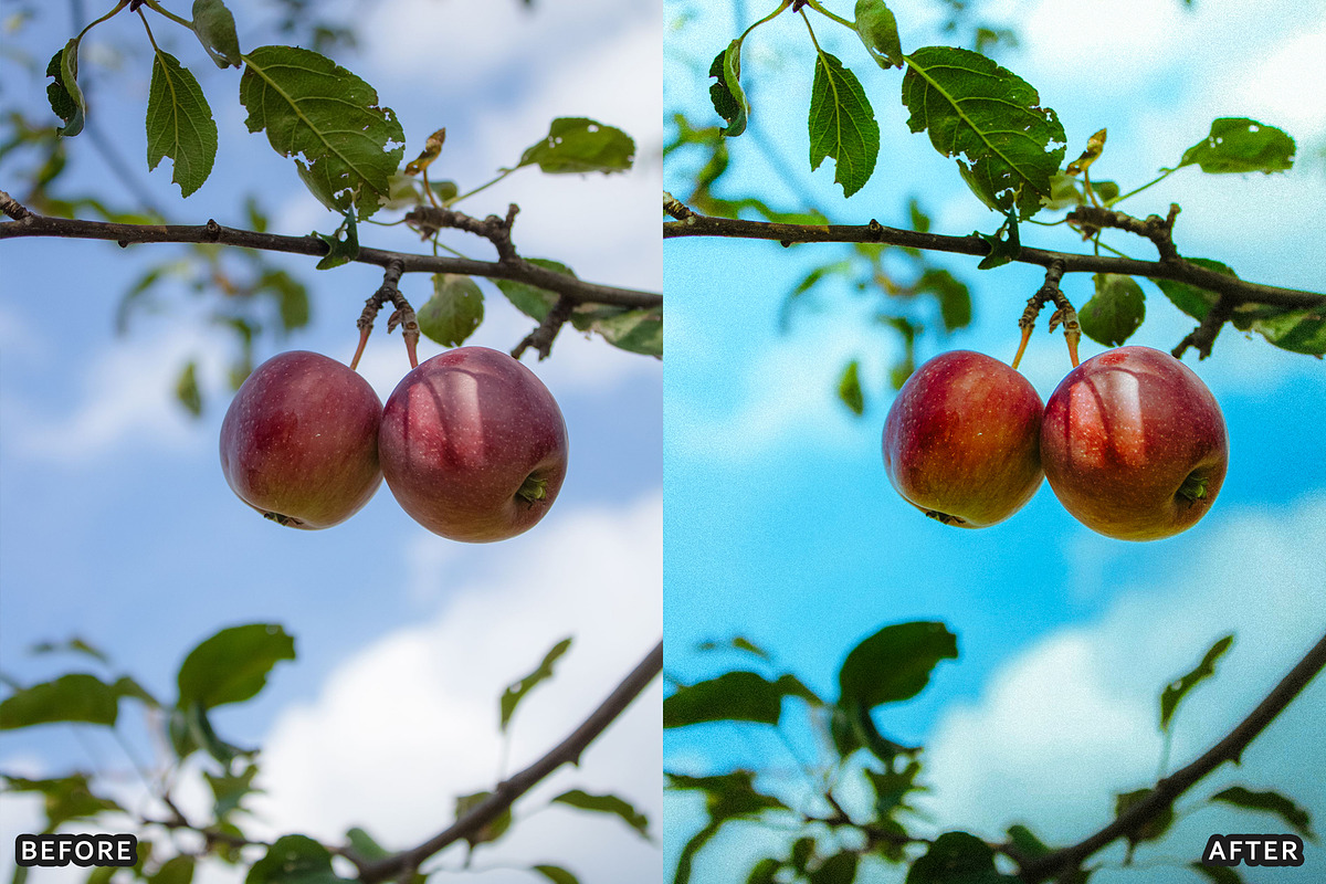 Golden Apple Orchard Presets, a Preset Add-On by AAA Presets (Photo 9 of 14)