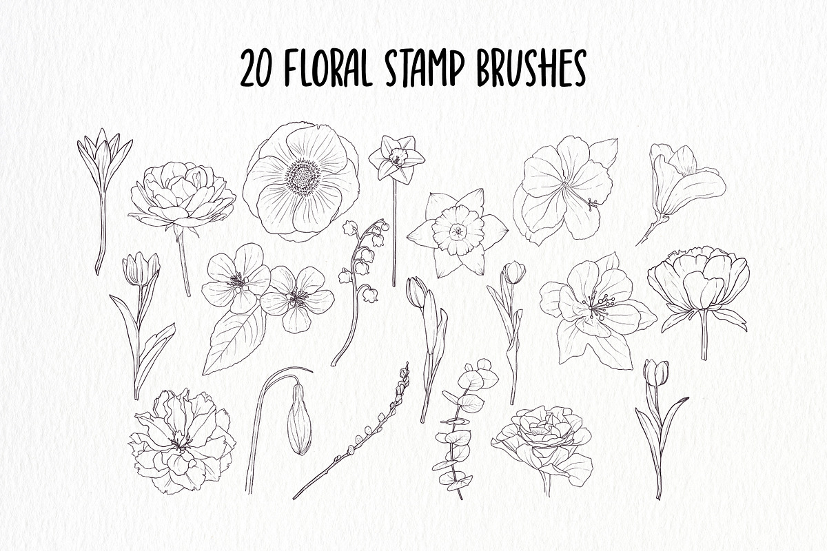 Hand Drawn Flowers Procreate Stamps, a Brush Add-On by Little Nordic Atelier (Photo 2 of 4)