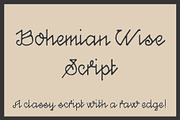 Bohemian Wise Script, a Script Font by Shon Price Fonts (Thumbnail 3 of 6)