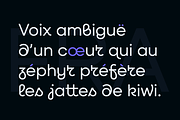 Qilljoy – display sans serif, a Sans Serif Font by Slava Antipov (Thumbnail 8 of 18)