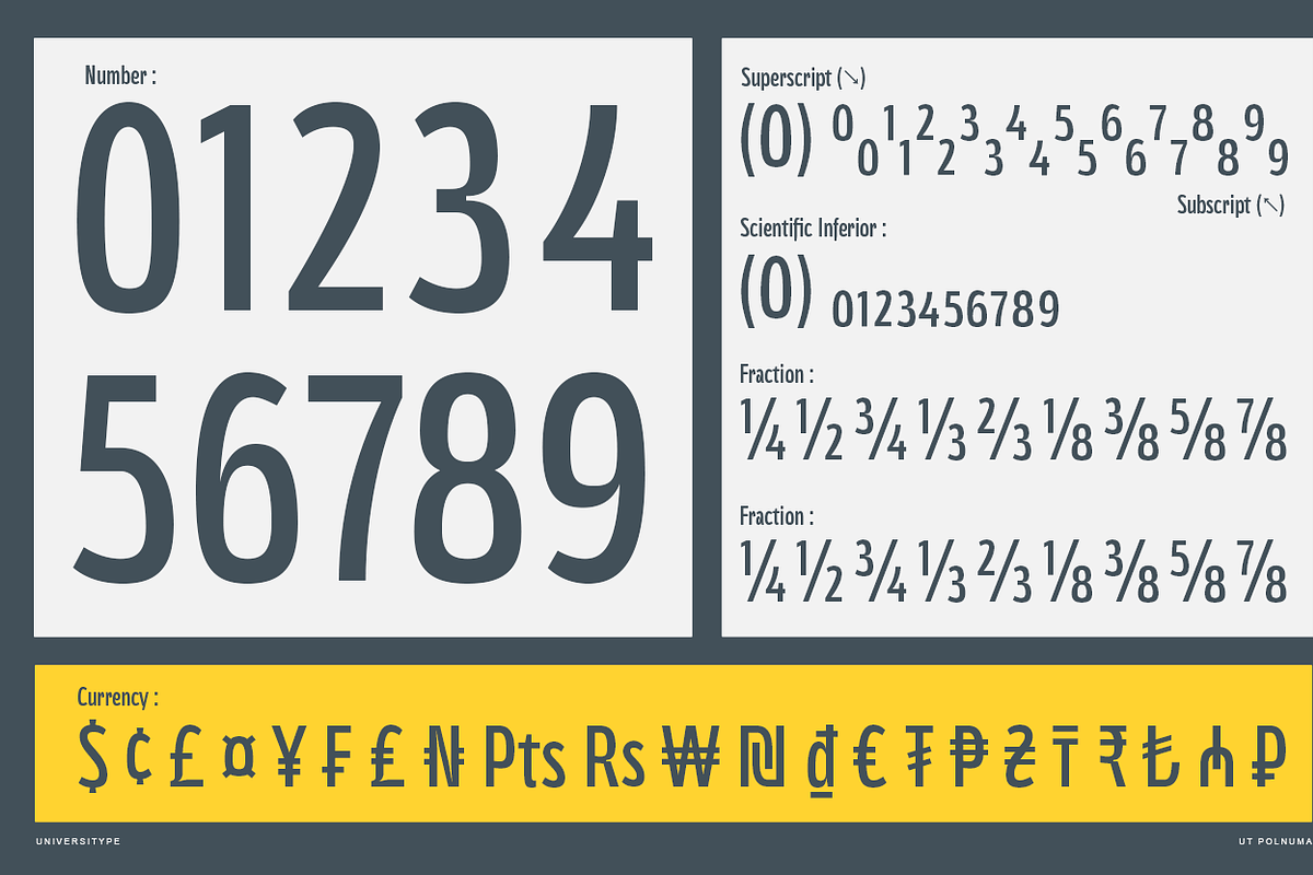 UT Polnuma - A Modern Sans Serif, a Sans Serif Font by Universitype (Photo 5 of 12)