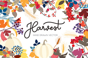 Harvest hand drawn in Fall / Autumn