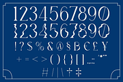 Vageli - Unique Font Duo, a Serif Font by Valentino Vergan (Thumbnail 9 of 12)
