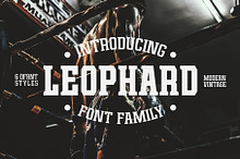 Leophard Font Family