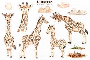 Giraffes. Watercolor Collection