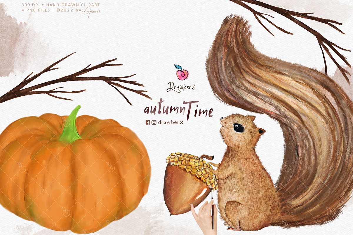Watercolor Fall forest, squirrel 008, an Illustration by Drawberx (Photo 2 of 8)