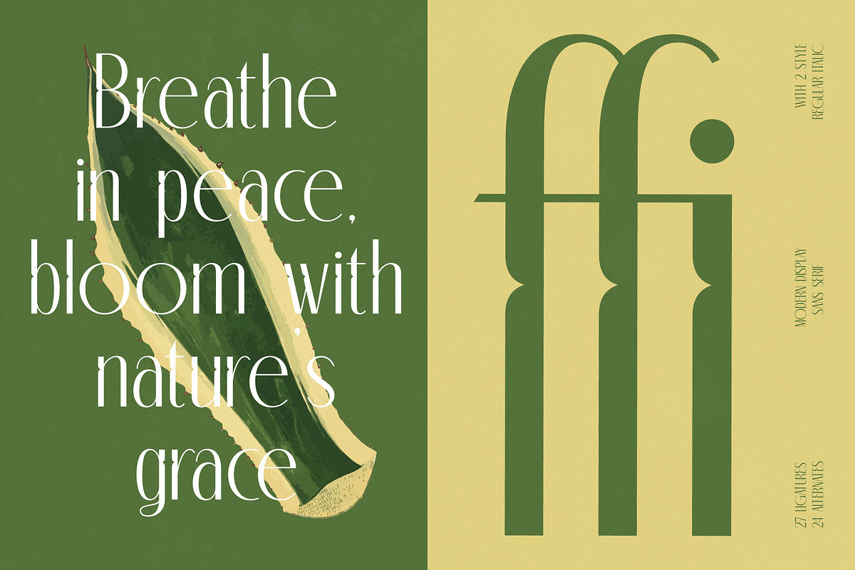 Classic Makore Modern Serif Font, a Serif Font by timelesstype.co (Photo 3 of 20)