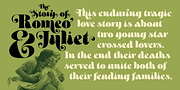 Petals BF, a Serif Font by Bomparte’s Fonts (Thumbnail 4 of 11)