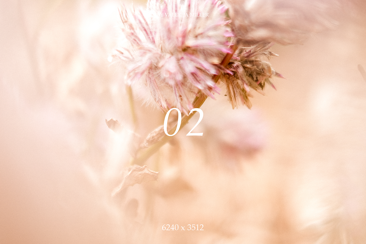 10 NATURAL BACKGROUNDS, a Background Photo by Valeriia Miller (Photo 3 of 11)