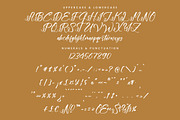 Floralis Morning, a Handwritten Font by Integritype Studio (Thumbnail 13 of 15)