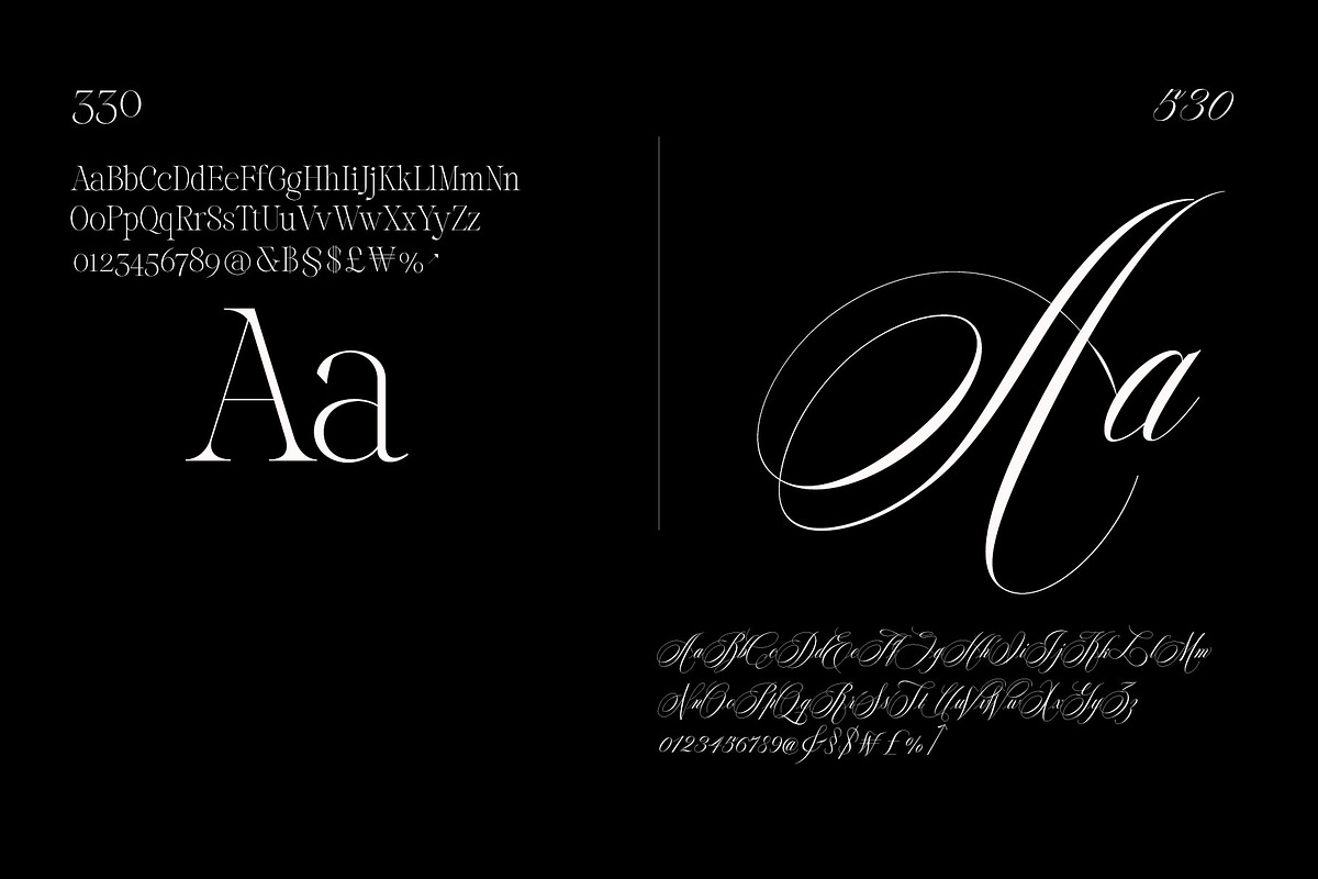 Reichamerina font family, a Serif Font by Ryul Davidson (Photo 13 of 27)